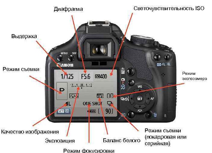 Как научиться фотографировать на фотоаппарат и на телефон.